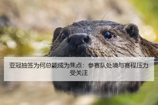 亚冠抽签为何总能成为焦点:参赛队处境与赛程压力受关注